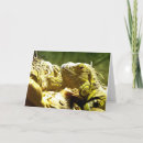 Search for iguanas cards Green