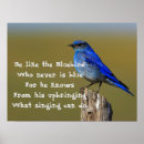 Search for bluebird posters Animal