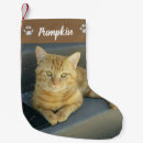 Search for tabby cat christmas stockings Pet