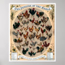 Search for antique chickens art Roosters