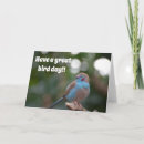 Search for avians cards Pet
