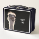 Search for ostrich Humour