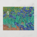 Search for irises postcards Vincent