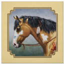 Search for indian war Horse