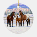 Search for appaloosa horse christmas tree decorations Mare and foal