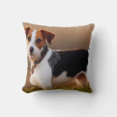 Search for jack russell cushions Cute
