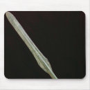 Search for spear electronics Lance