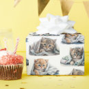 Search for kittens wrapping paper Cat