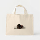 Search for rat bags Cute