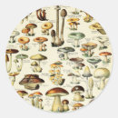 Search for vintage mushroom stickers Nature