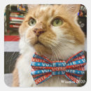 Search for political cat stickers Politics
