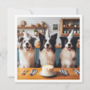 Search for collie cards invites Border collies