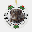 Search for paw christmas tree decorations Cute