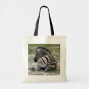 Search for wild animal bags Zoo animals