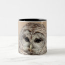 Search for barred owl mugs Raptor