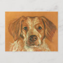 Search for brittany spaniel postcards Pets