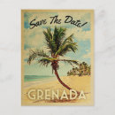 Search for grenada Palm tree