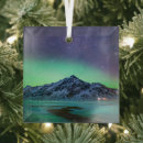 Search for aurora christmas tree decorations Ice