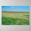 Search for grasslands posters Nature
