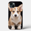 Search for queen elizabeth i iphone cases Pet