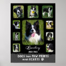 Search for dog sayings posters For pets