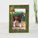 Search for draft horse Equine