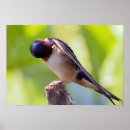 Search for grooming art Photography