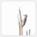 Search for ladders stickers Nature