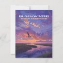 Search for osprey bird cards Wildlife