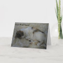 Search for sleeping cat cards Feline