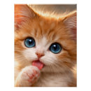 Search for paws posters Kitten