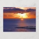 Search for vivid cards Fun