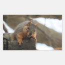 Search for wildlife photography stickers Cute