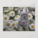 Search for bulldog mothers day cards Animal