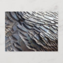 Search for abstract design postcards Grey