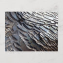 Search for abstract design postcards Grey