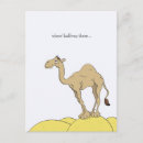 Search for funny hump day postcards Camel