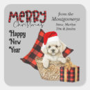 Search for pet stickers Typography