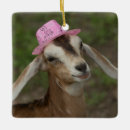 Search for barnyard christmas tree decorations Animal