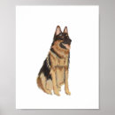 Search for shepard posters Portrait