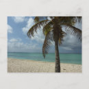 Search for nature scene postcards Tropical