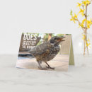 Search for bird quotes birthday cards Nature