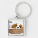 Search for dog key rings Puppies