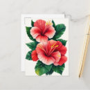 Search for hibiscus postcards Plant