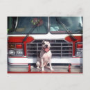 Search for bully postcards Staffordshire
