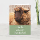 Search for manly cards Husband
