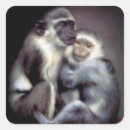 Search for monkey love stickers Monkeys