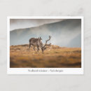 Search for svalbard postcards Spitsbergen