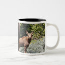 Search for ditto mugs North america