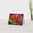 Search for red lily Birthday